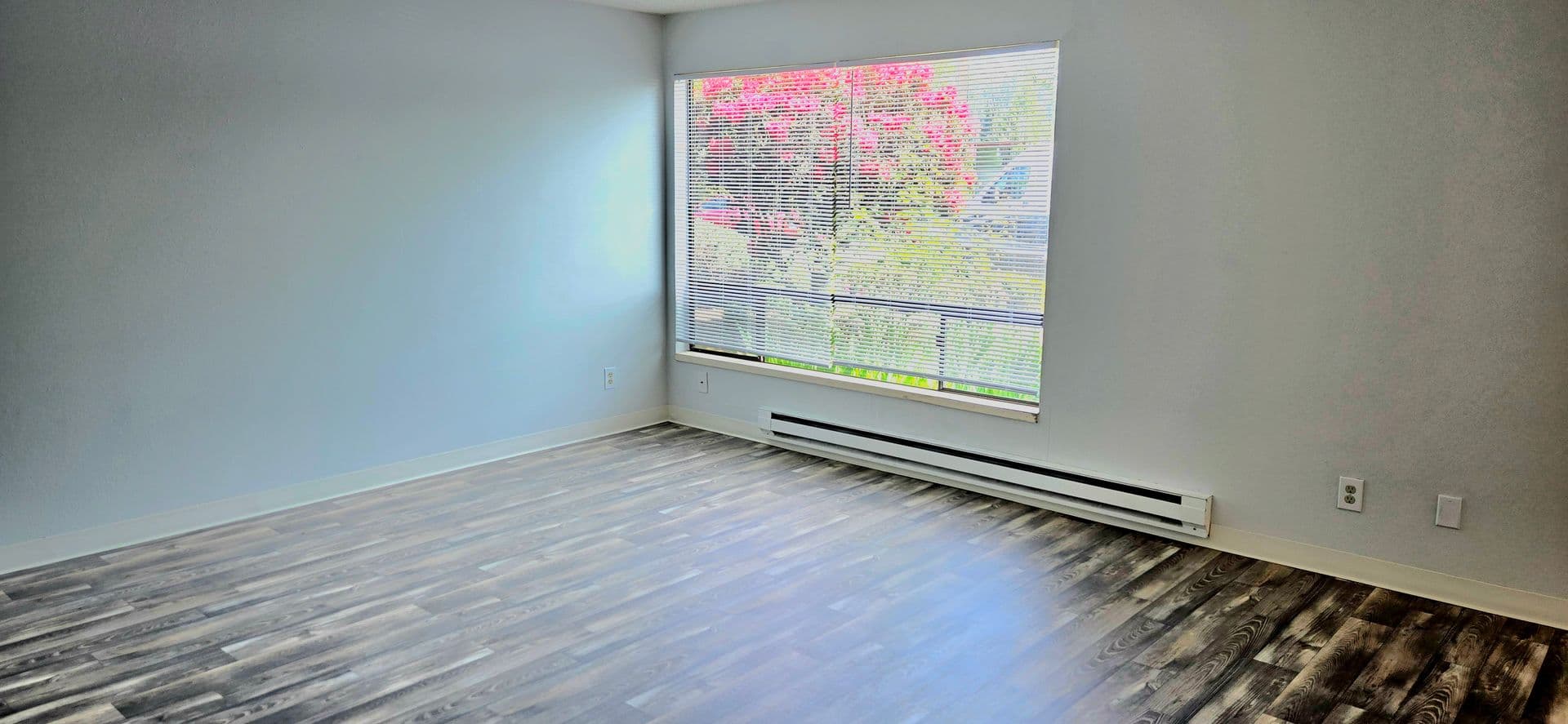 Auburn Apartment: 105 "N" Street SE