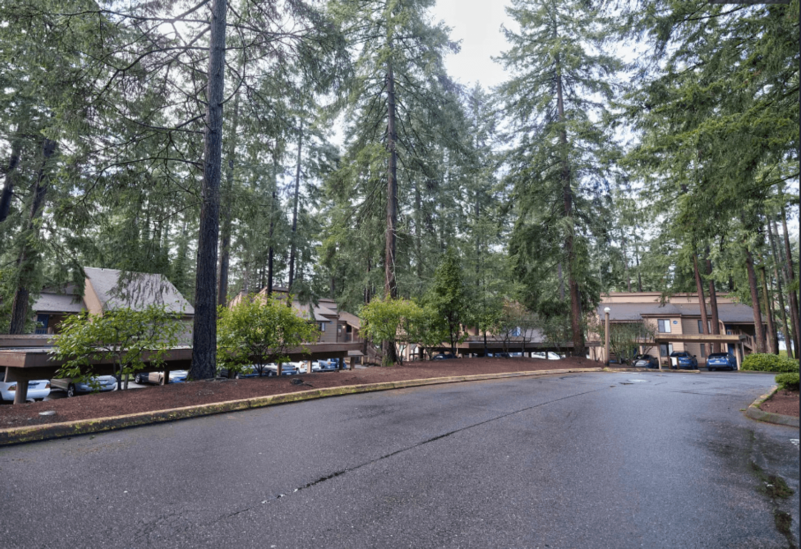Federal Way Apartment: 117 South 330th Street