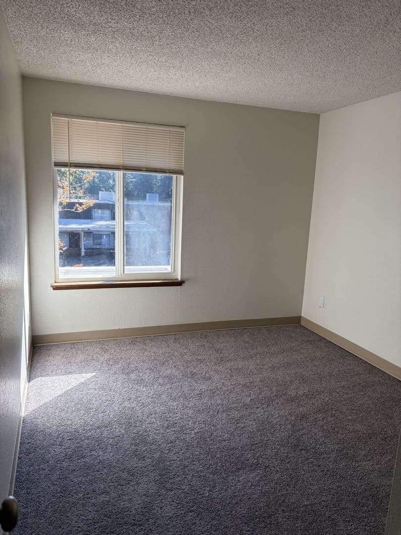 Federal Way Apartment: 34 South 342nd Place