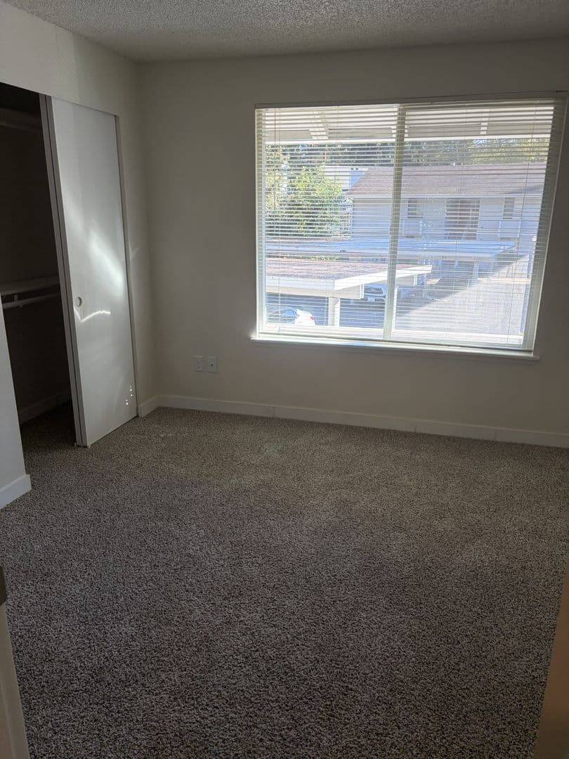 Federal Way Apartment: 24 South 341st Place