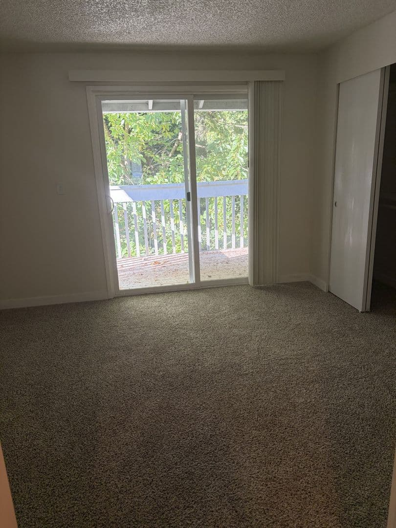 Federal Way Apartment: 24 South 341st Place