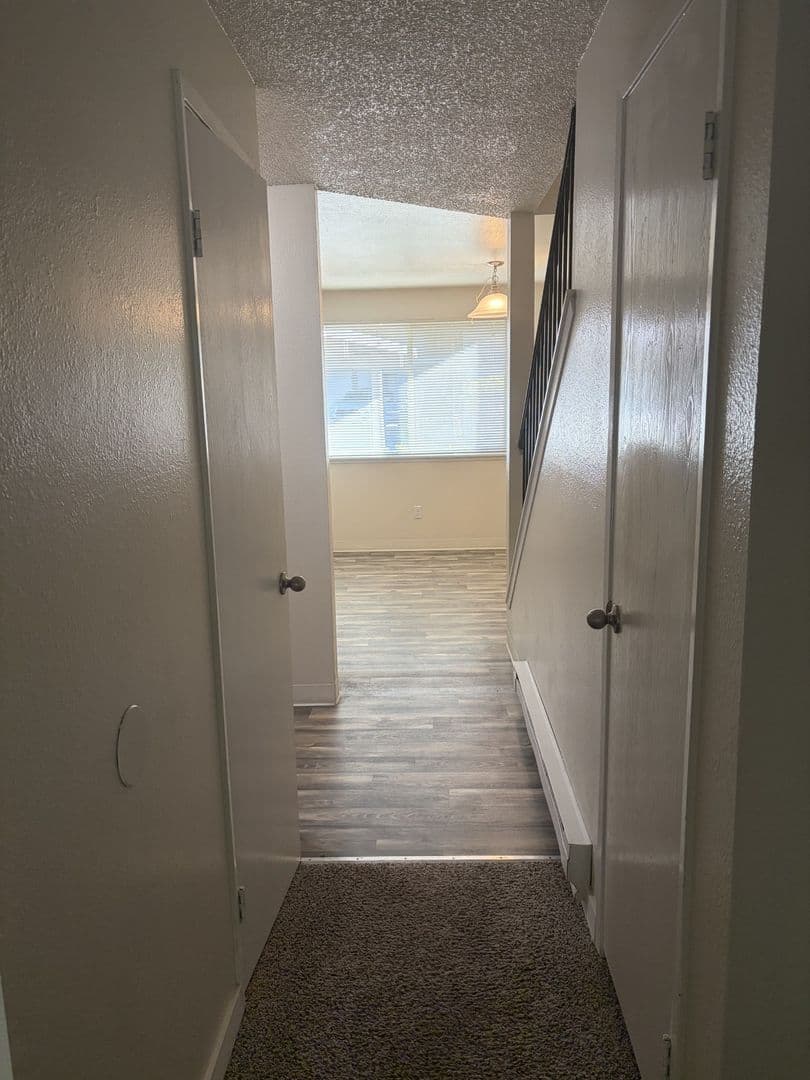 Federal Way Apartment: 24 South 341st Place