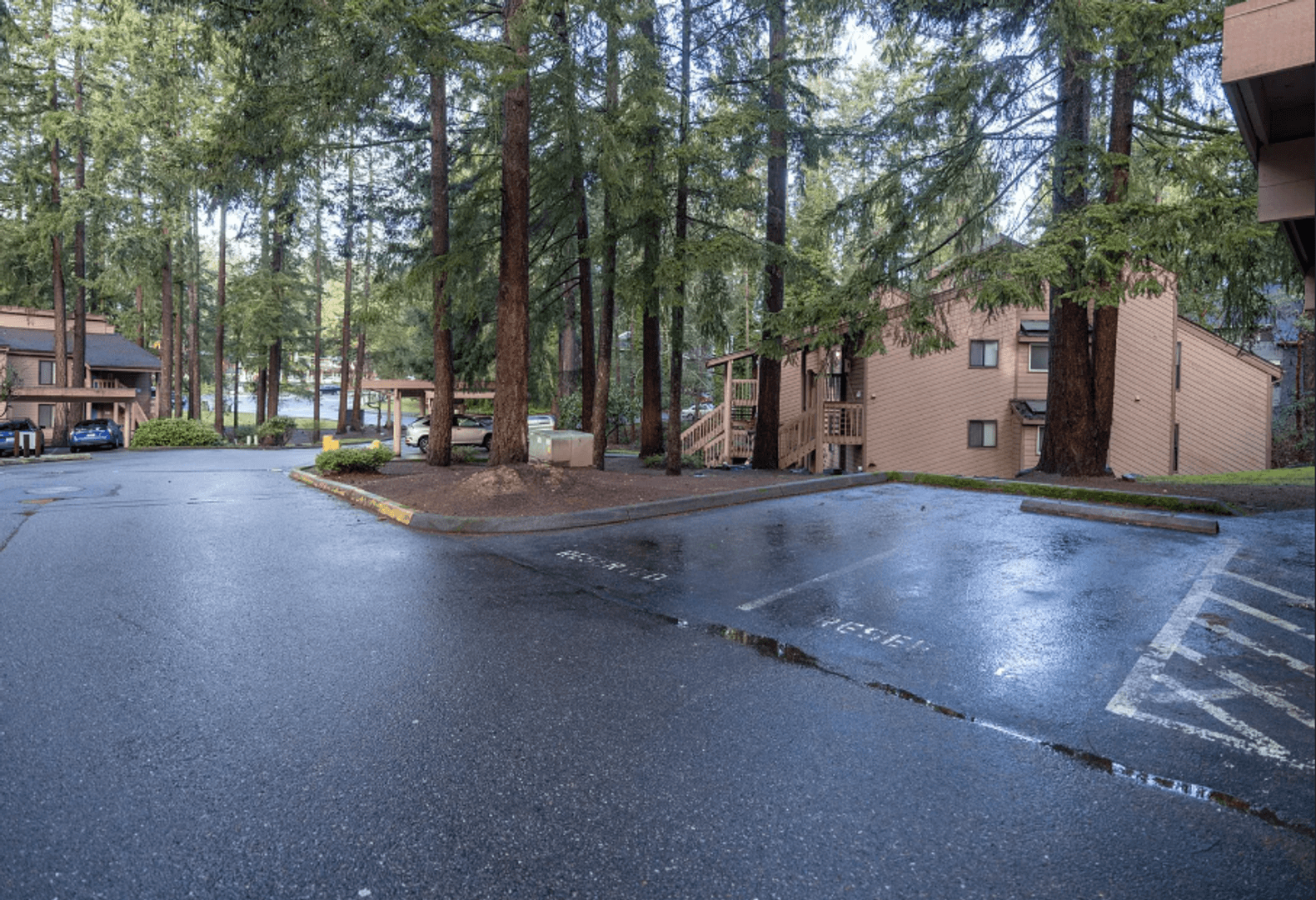 Federal Way Apartment: 117 South 330th Street