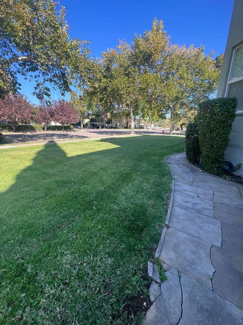 Red Bluff Apartment: 1051 Washington Street