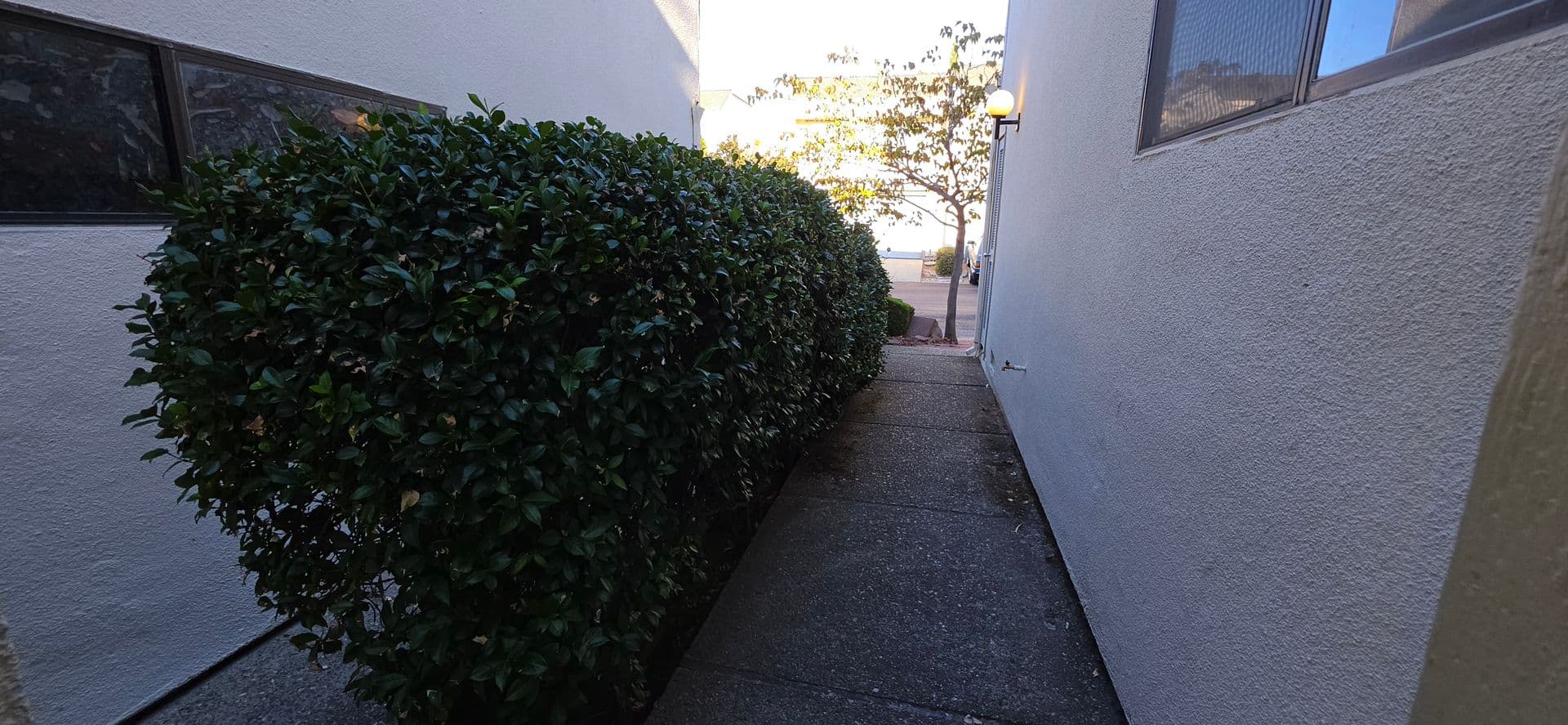 San Jose Townhome: 1745 DEER CREEK Ct.