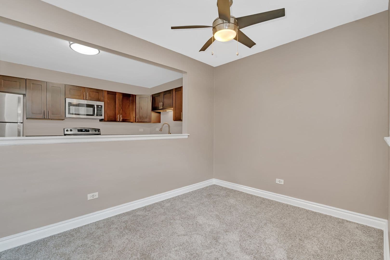 Glen Ellyn Apartment: 25 Briar St