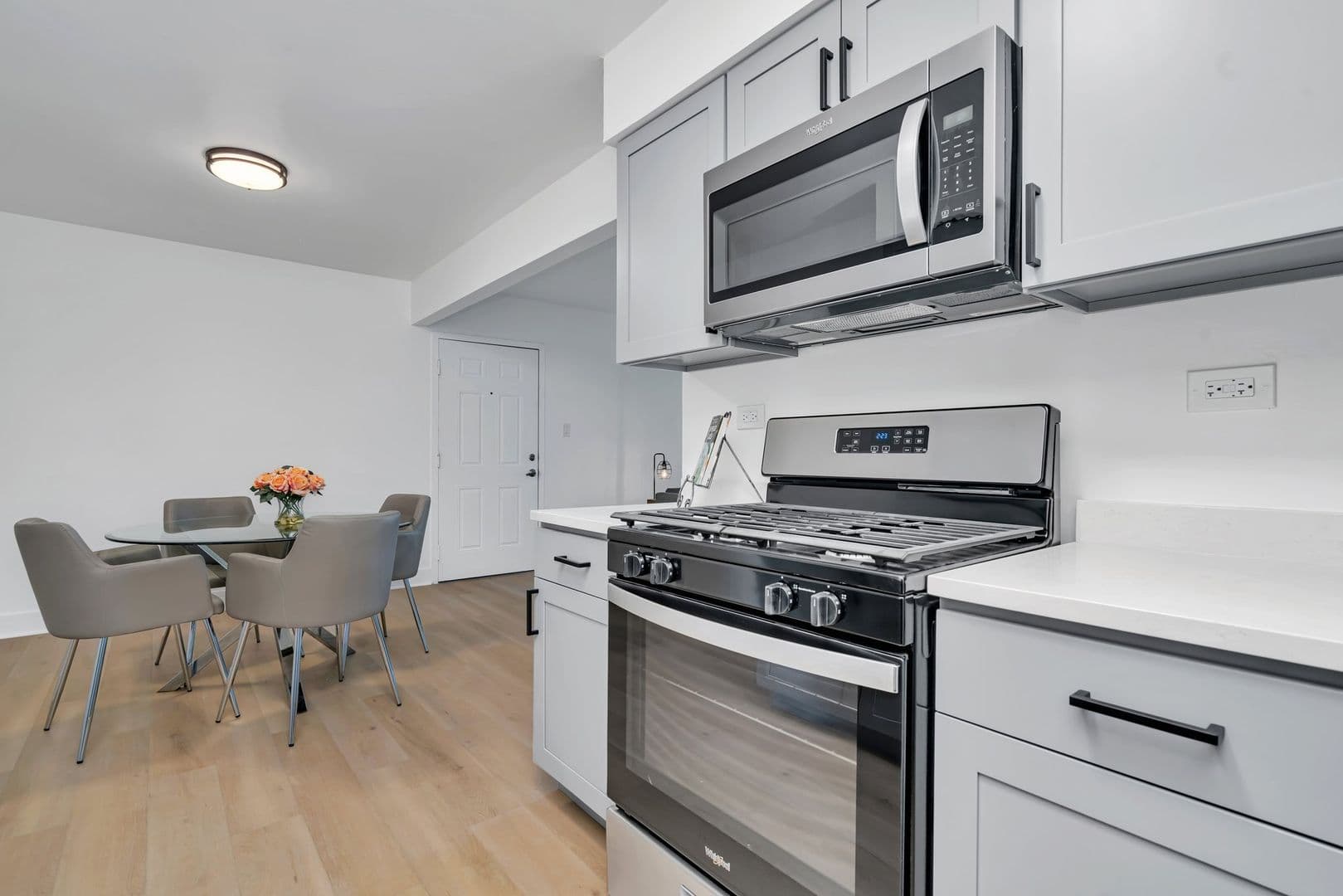 Naperville Apartment: 1669 Ishnala Dr