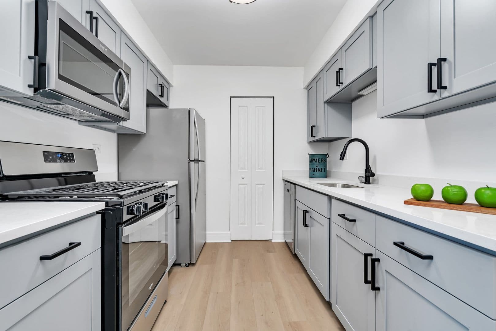 Naperville Apartment: 1669 Ishnala Dr