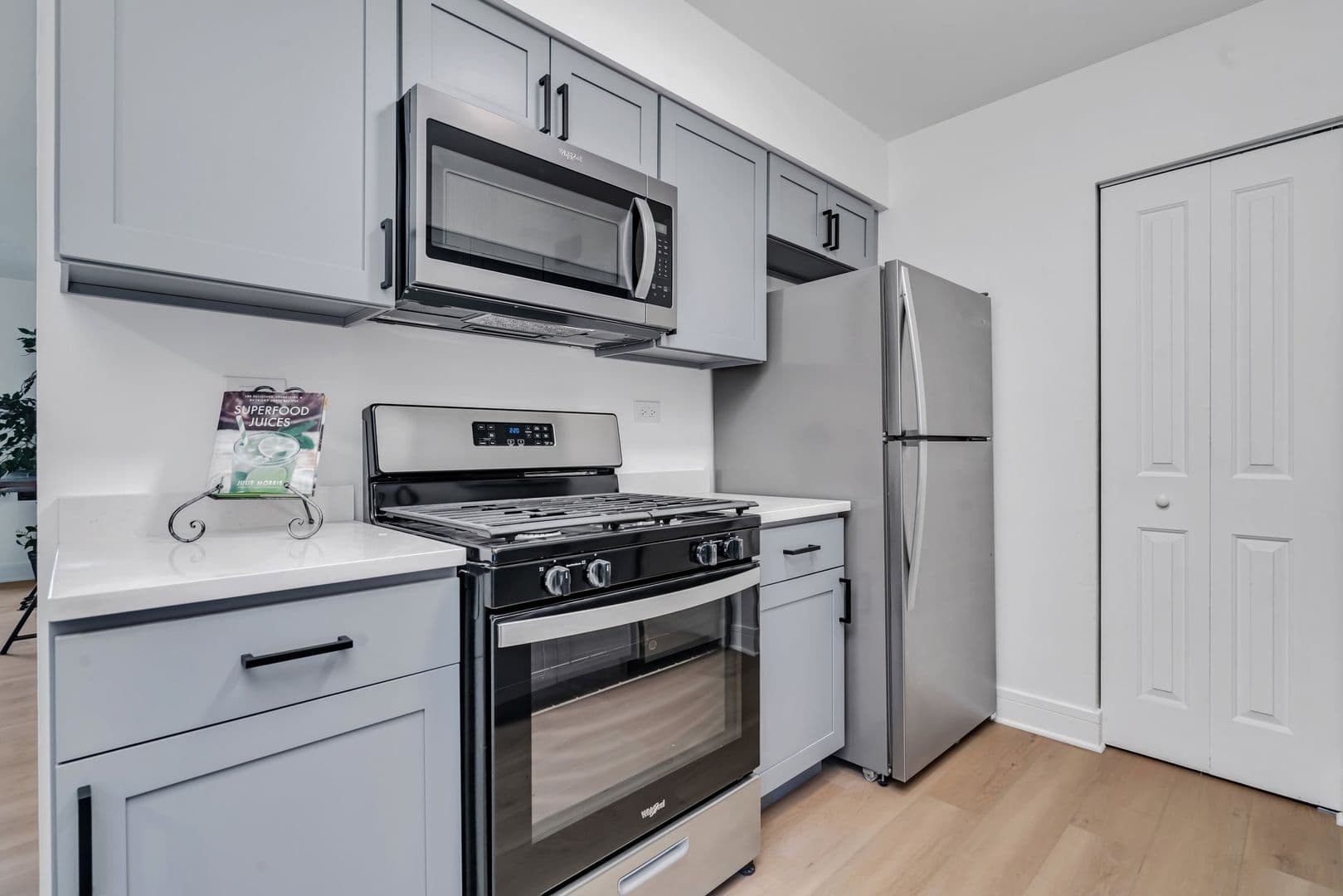 Naperville Apartment: 1669 Ishnala Dr