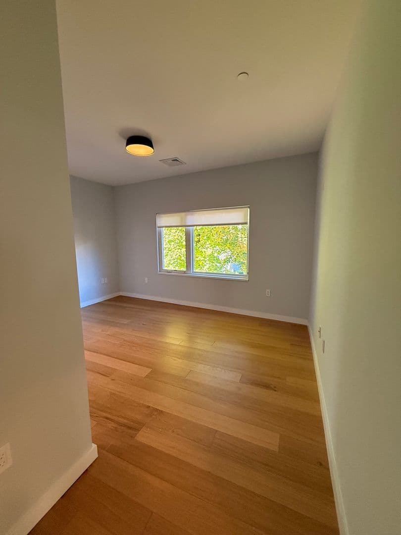 New Haven Apartment: 703 Whitney Avenue
