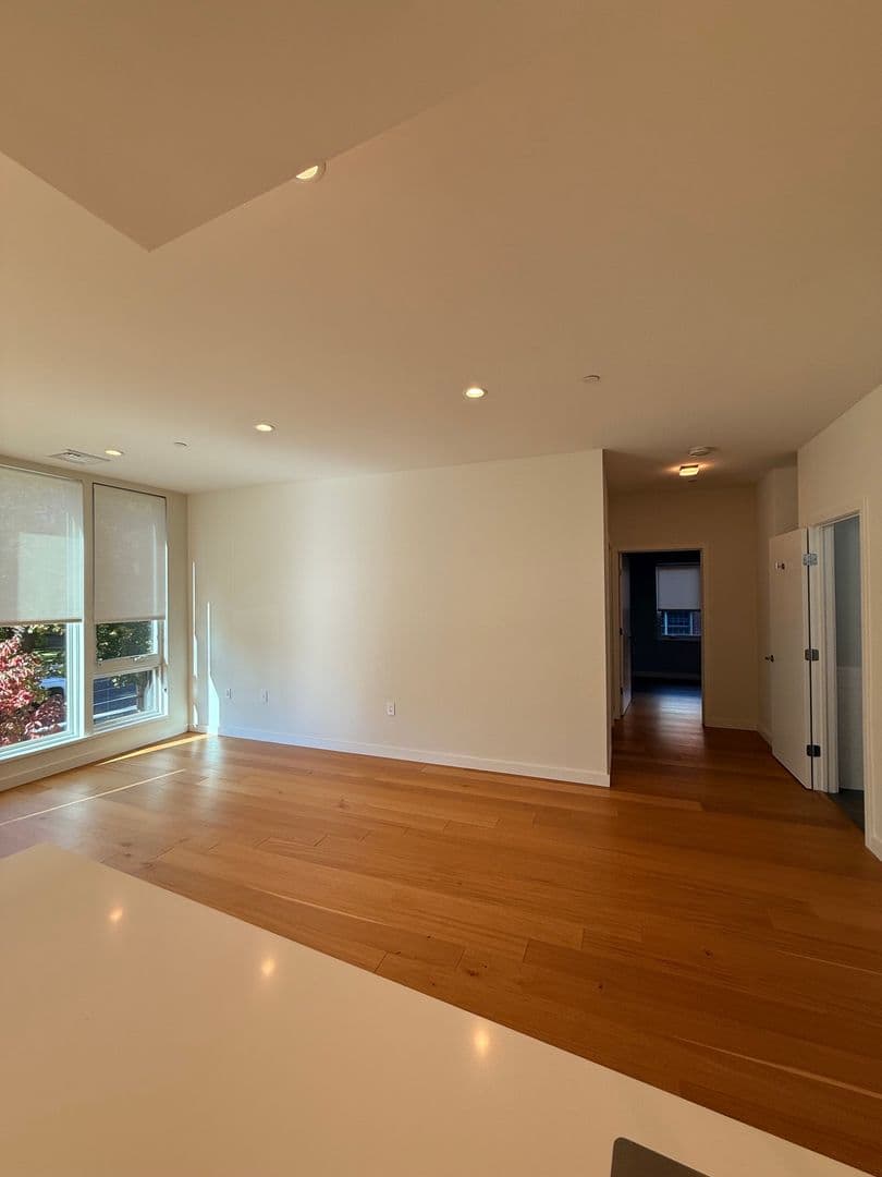 New Haven Apartment: 703 Whitney Avenue