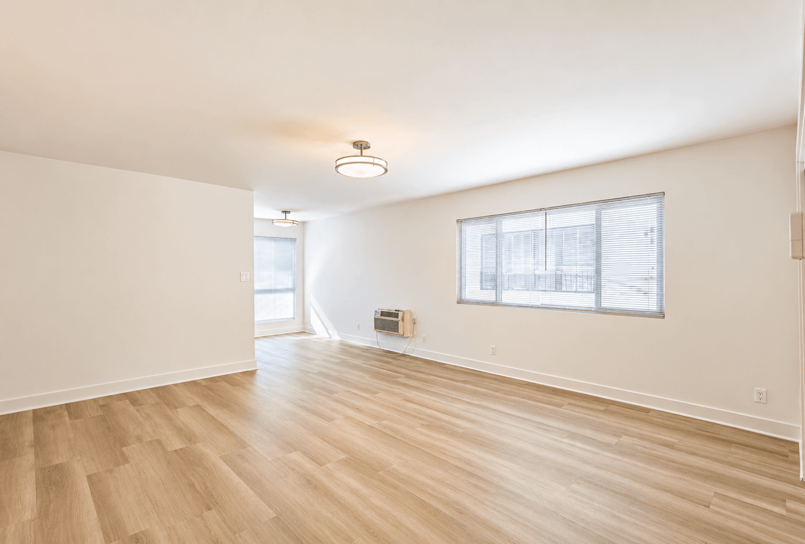 Los Angeles Apartment: 717 S Berendo Street