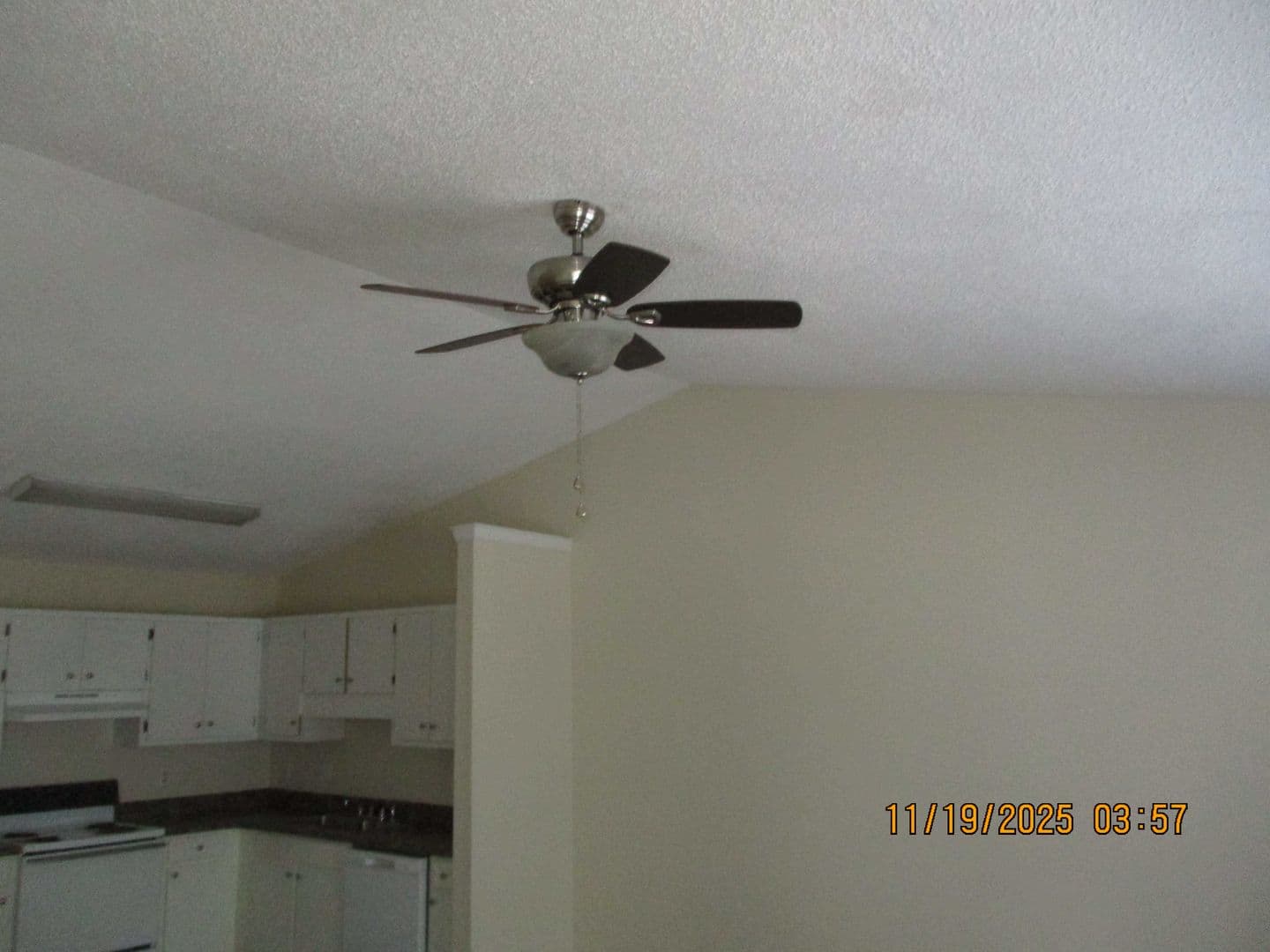Albany House: 2517 D Cardinal St