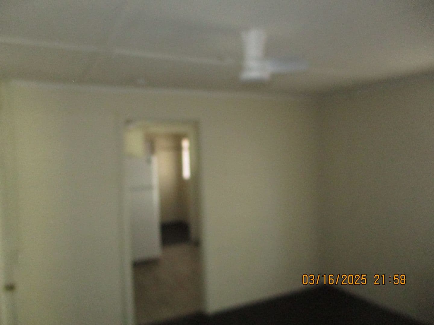 Albany House: 520-B Jefferies