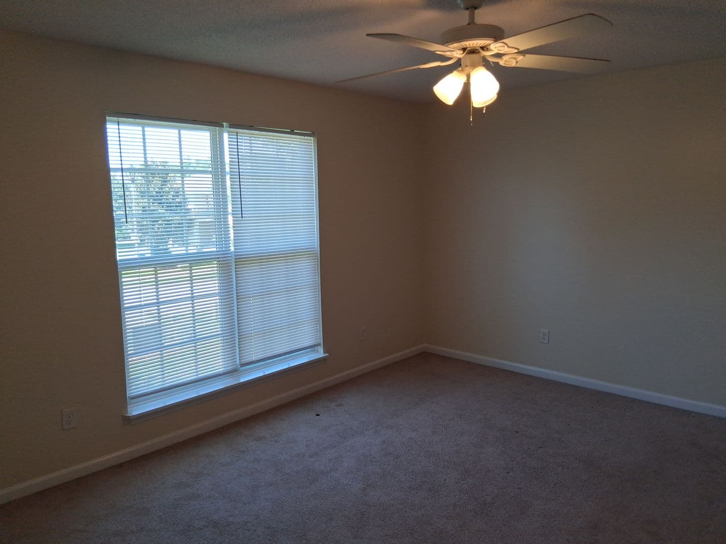 Albany Apartment: 2611 Erica Court