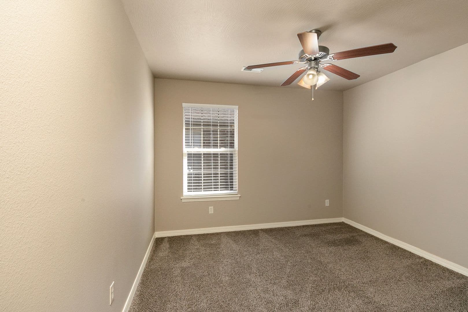 Springfield Apartment: W Sexton
