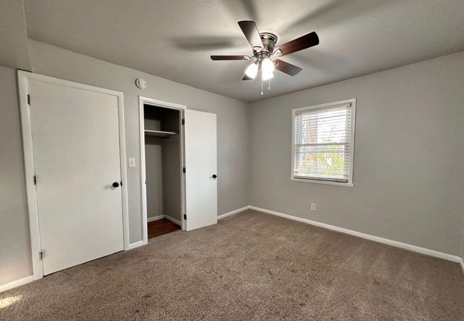 Winchester Apartment: 508 College Street