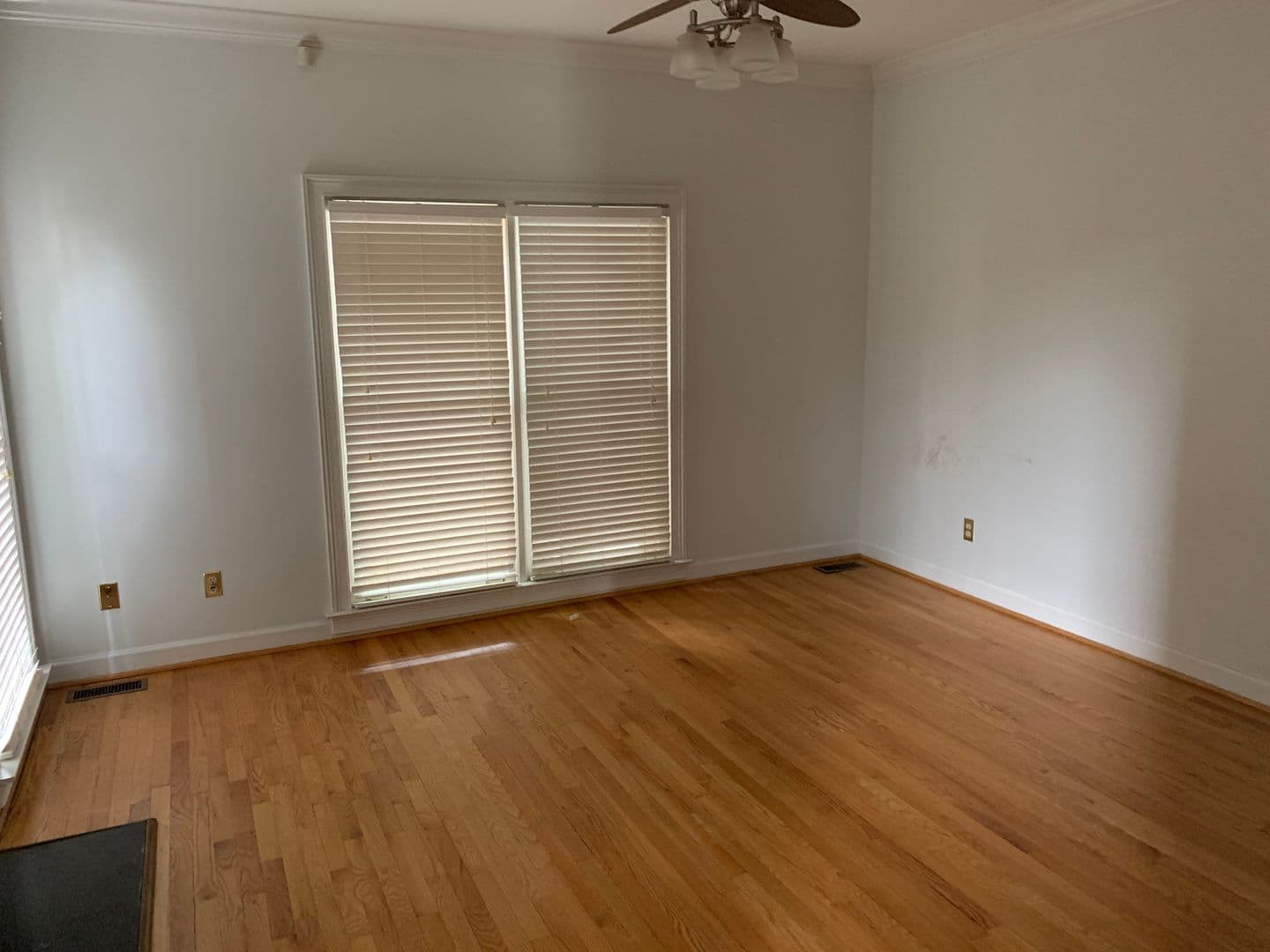 Columbia Townhome: 600 Woodrow Street