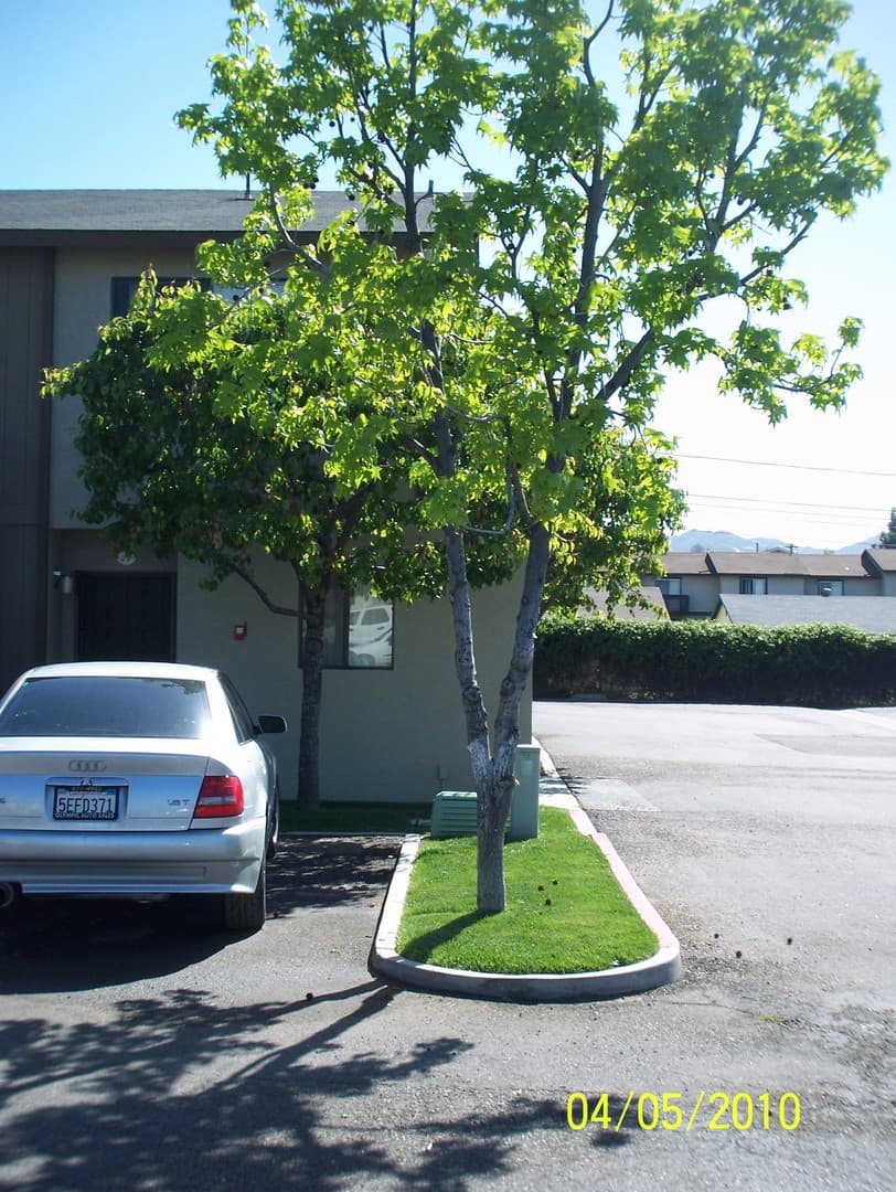 El Cajon Apartment: 1221 Oro Street