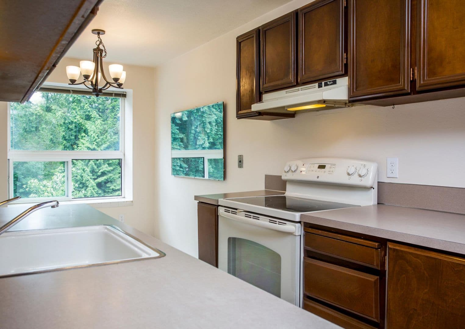 Bellevue Apartment: 16053 - 16057 NE 8th St