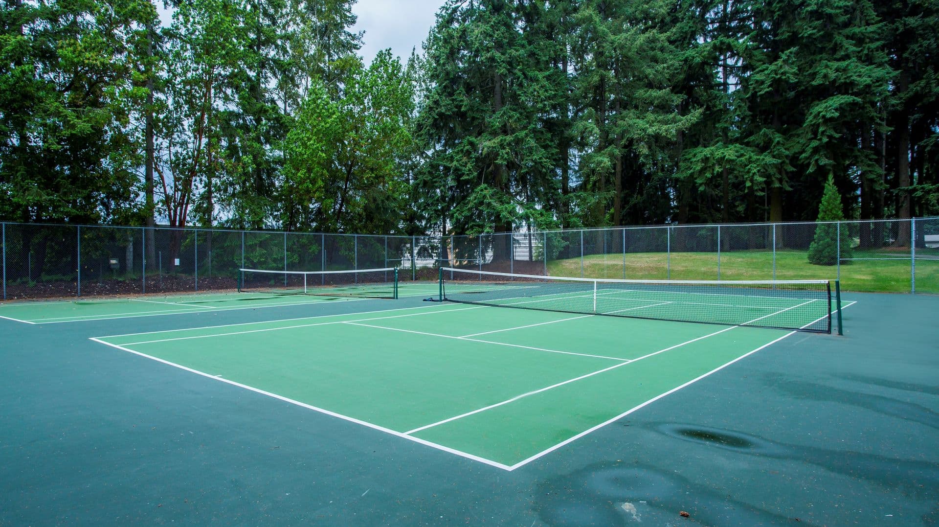 Bellevue Apartment: 16053 - 16057 NE 8th St