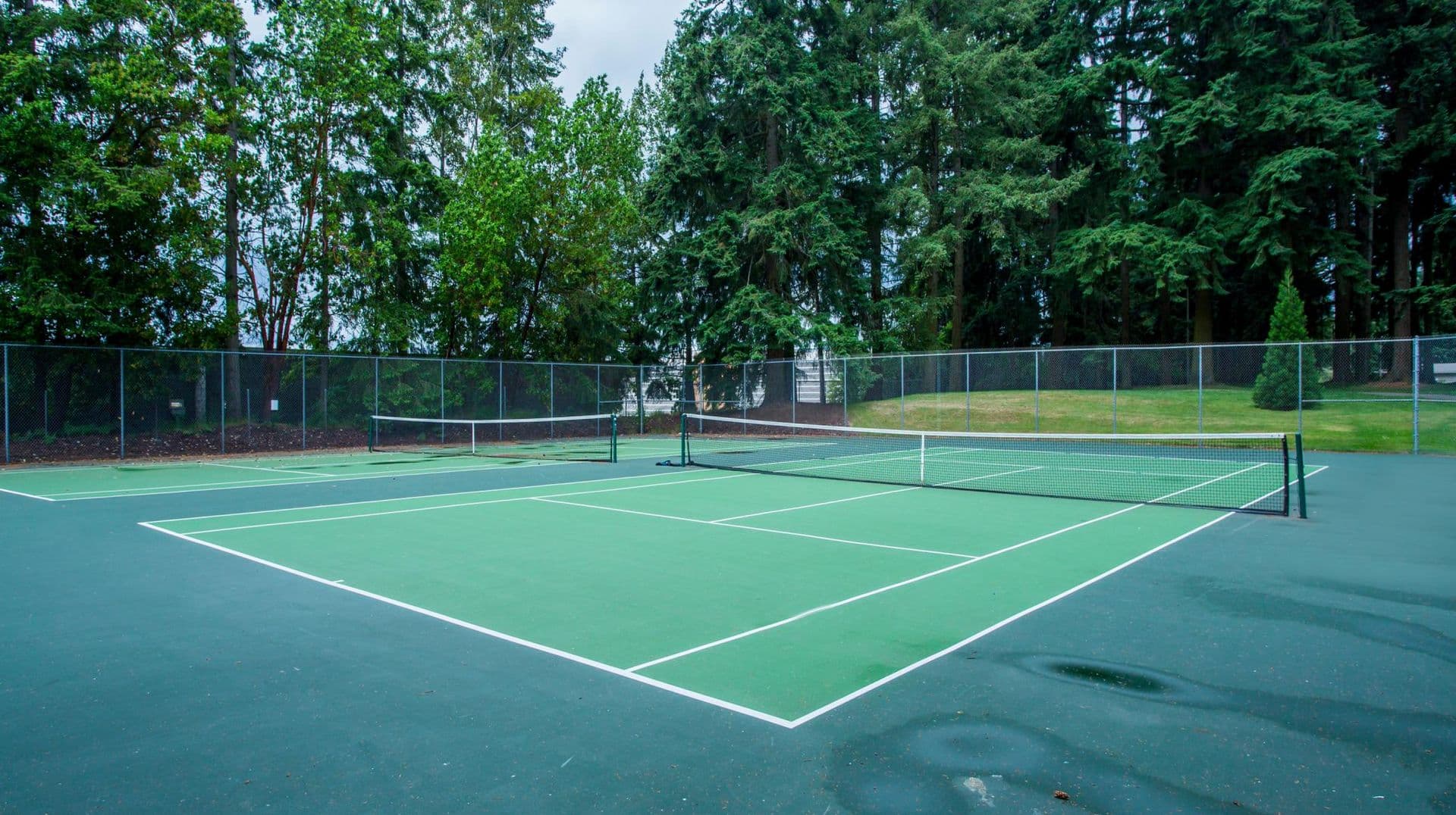 Bellevue Apartment: 16053 - 16057 NE 8th St