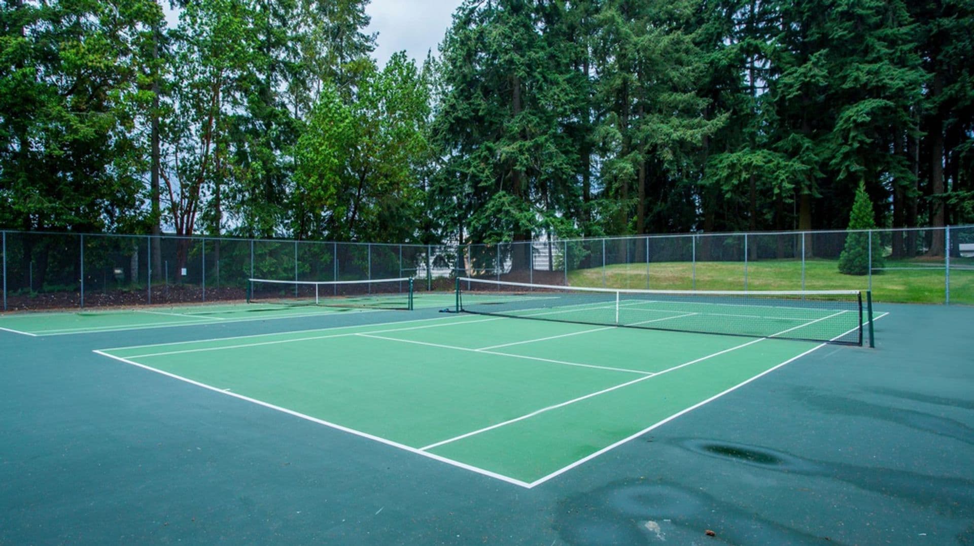 Bellevue Apartment: 16053 - 16057 NE 8th St