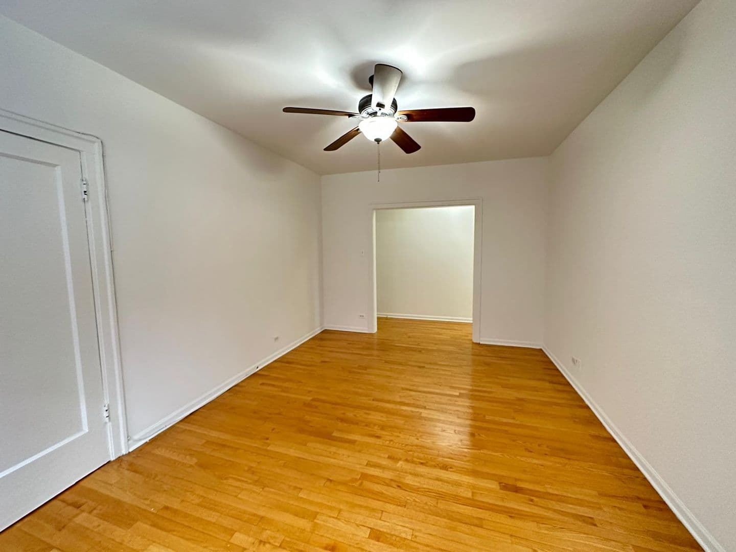Chicago Apartment: 1900 W Farwell Ave