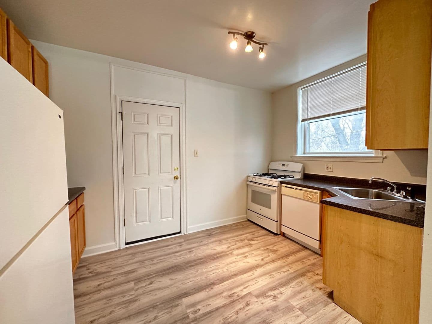 Chicago Apartment: 1900 W Farwell Ave