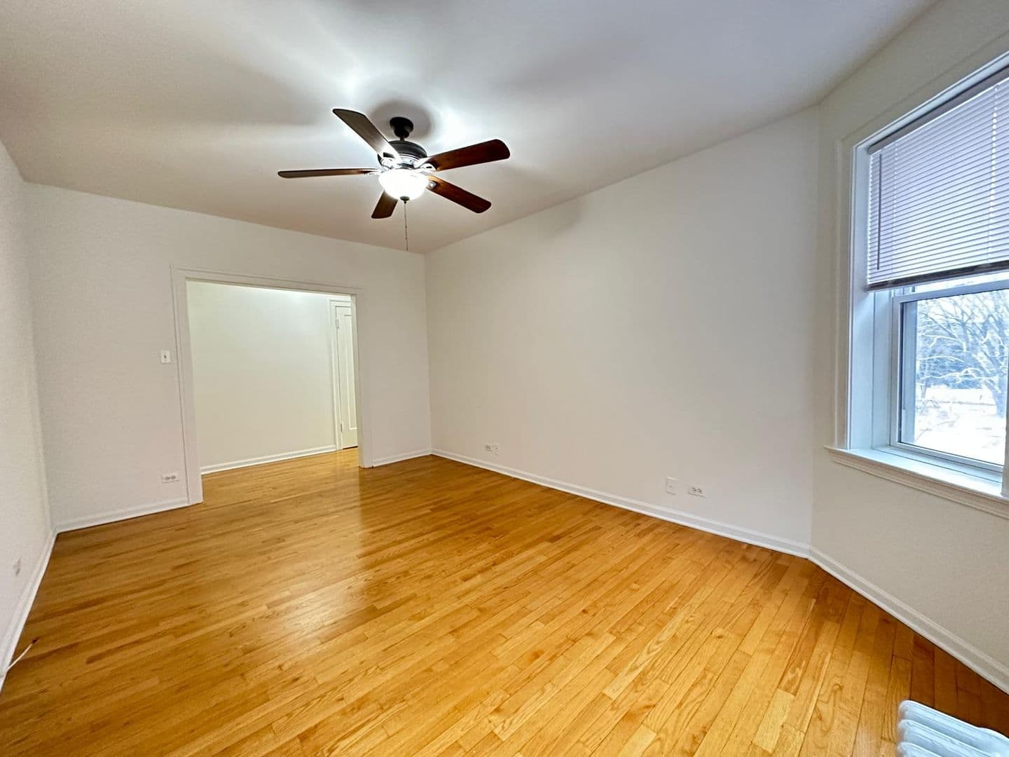 Chicago Apartment: 1900 W Farwell Ave