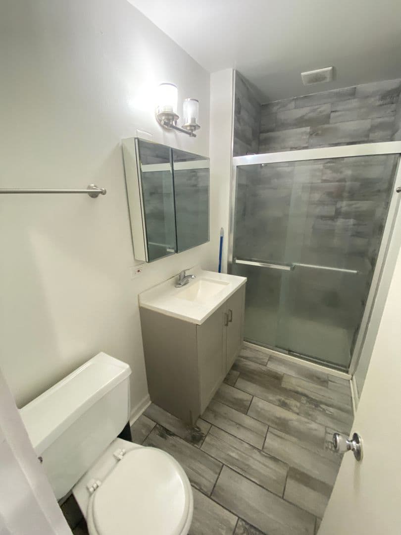 Chicago Apartment: 755 W Cornelia Ave