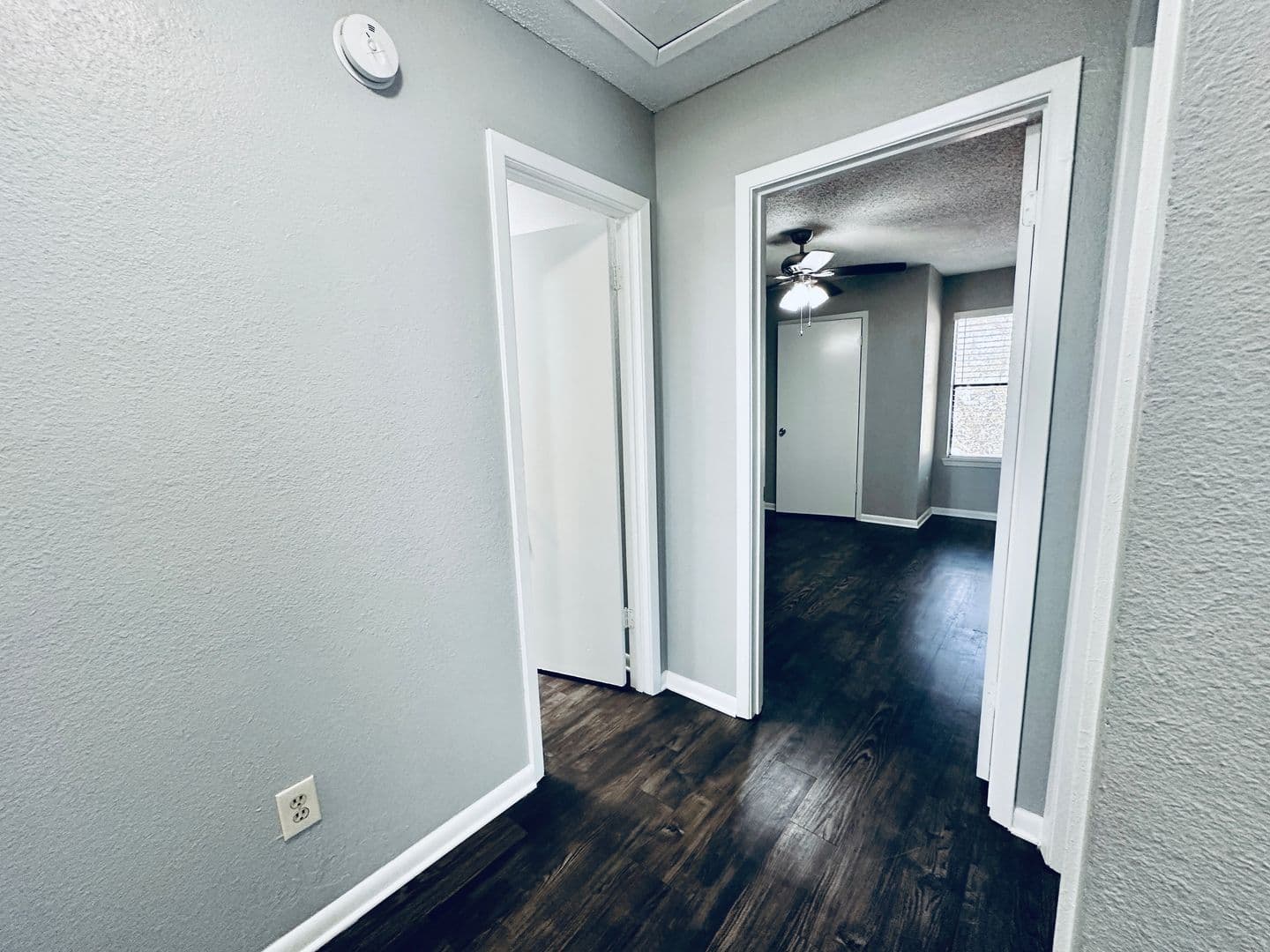 Austin Multiplex: 2612 Gwendolyn Ln