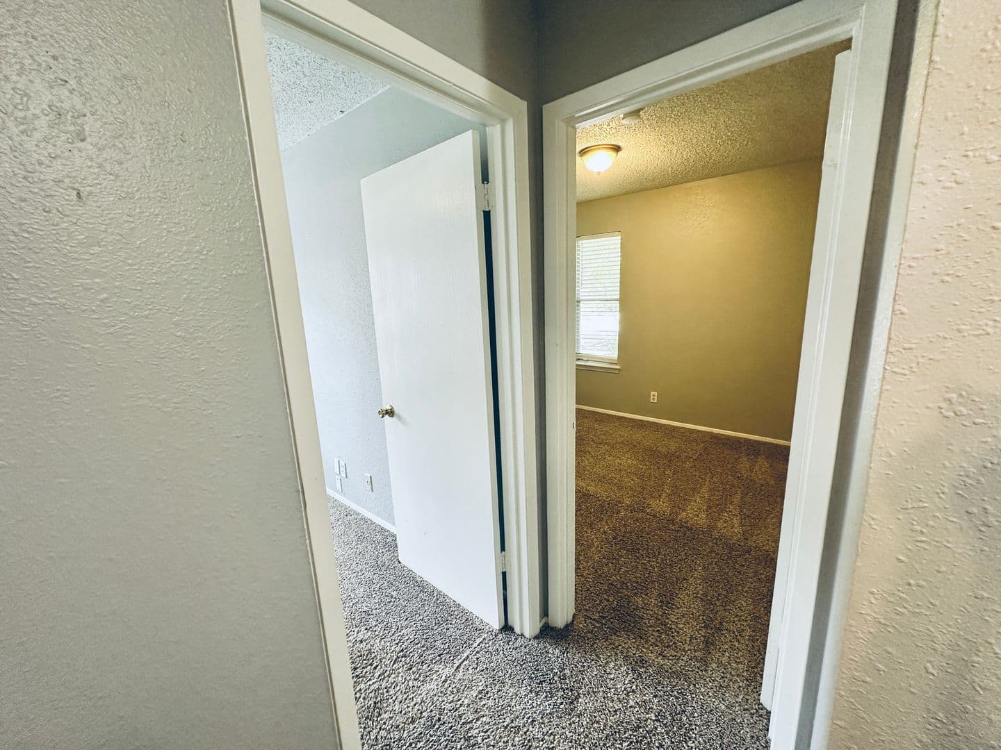Austin Apartment: 1318 Southport Dr