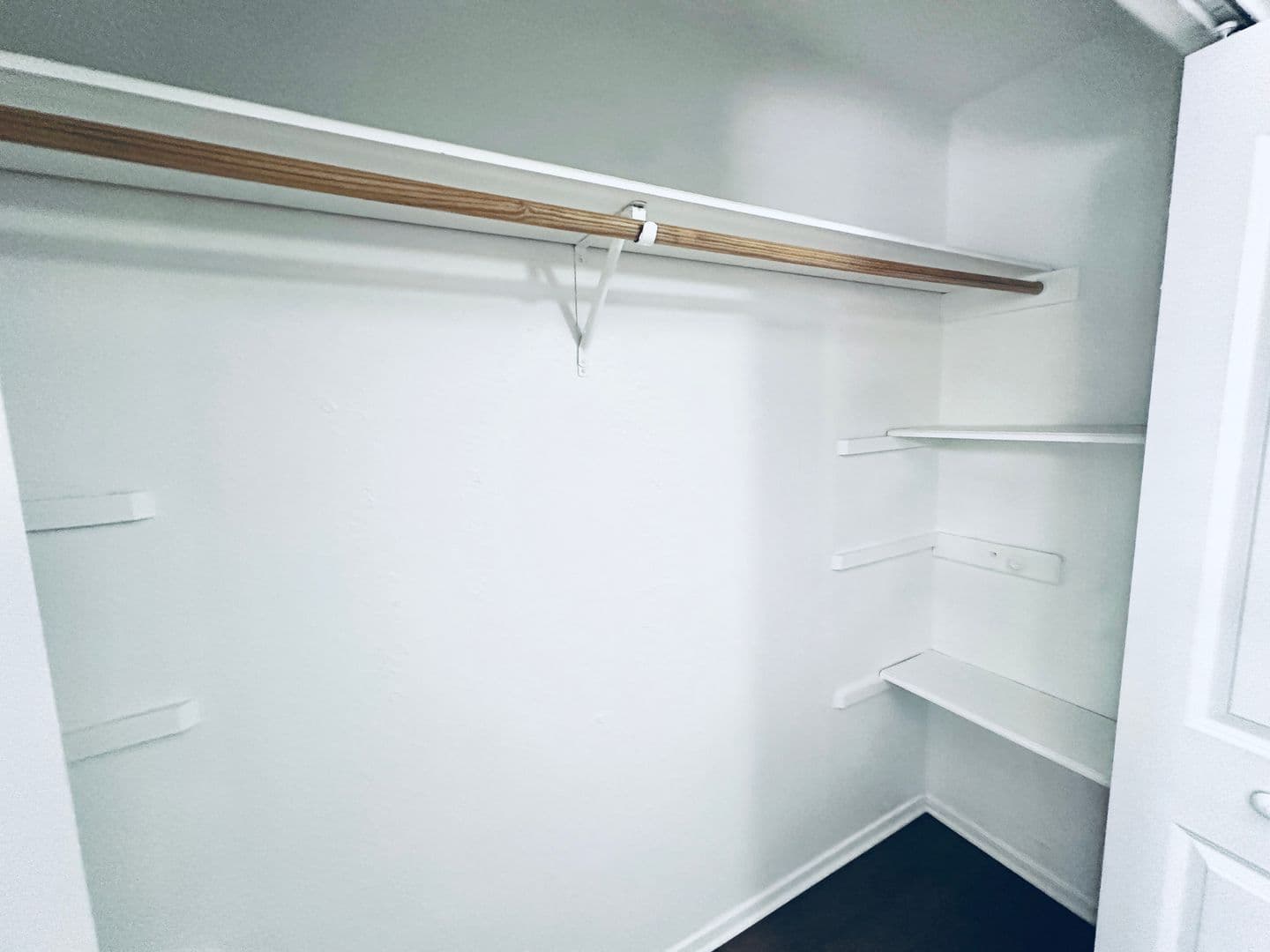 Austin Apartment: 5500 Rose Hill Circle
