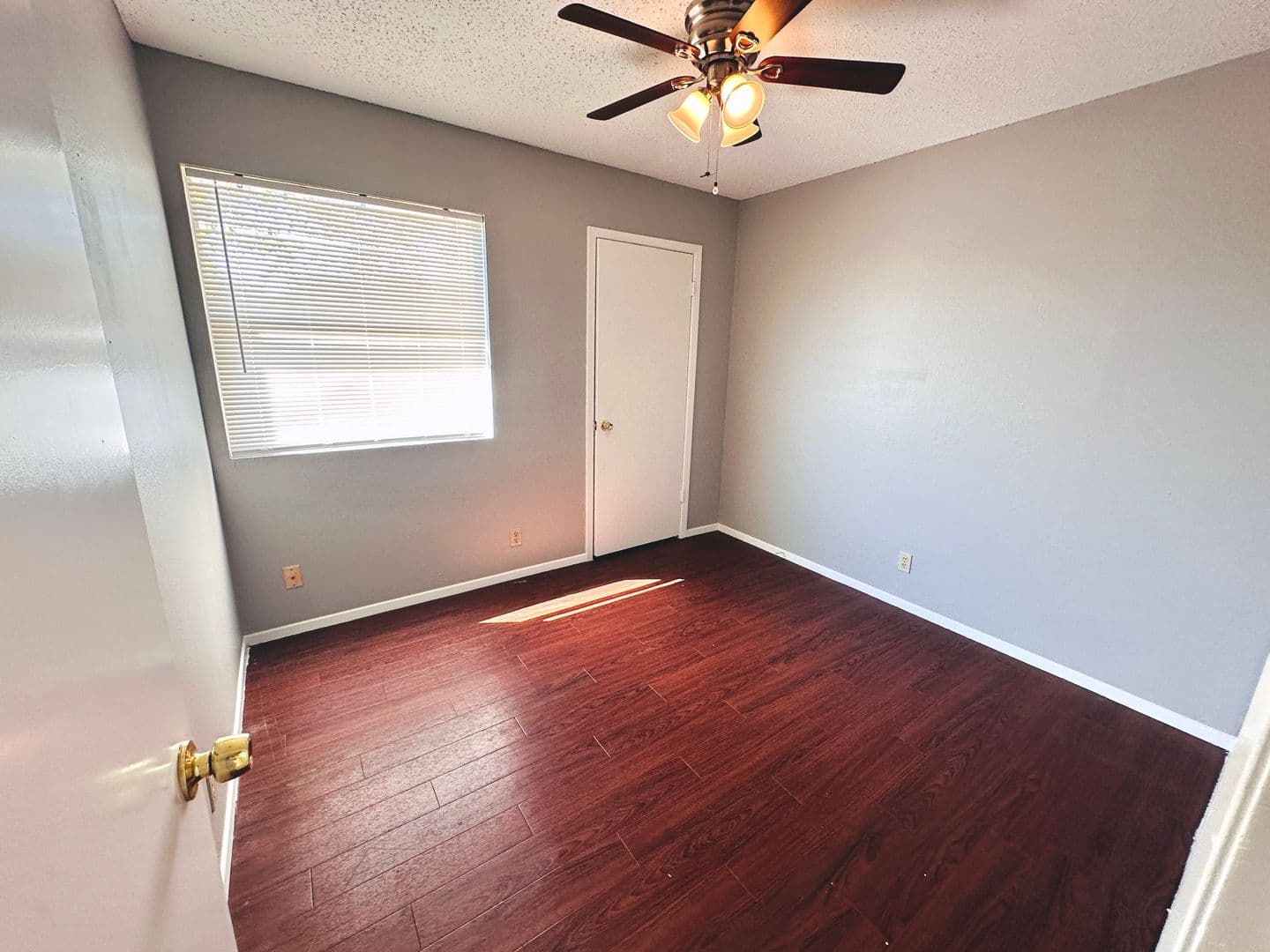 Austin Apartment: 9808 Roxanna Dr