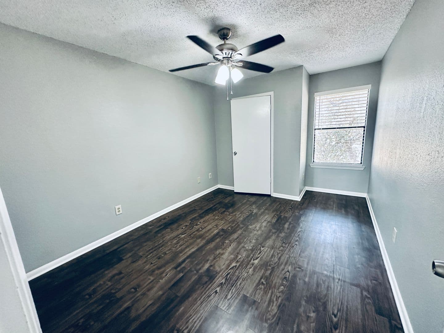 Austin Multiplex: 2612 Gwendolyn Ln