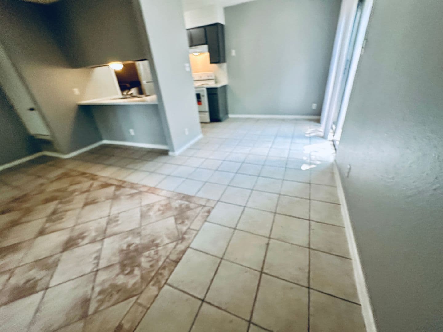 Austin Apartment: 1318 Southport Dr
