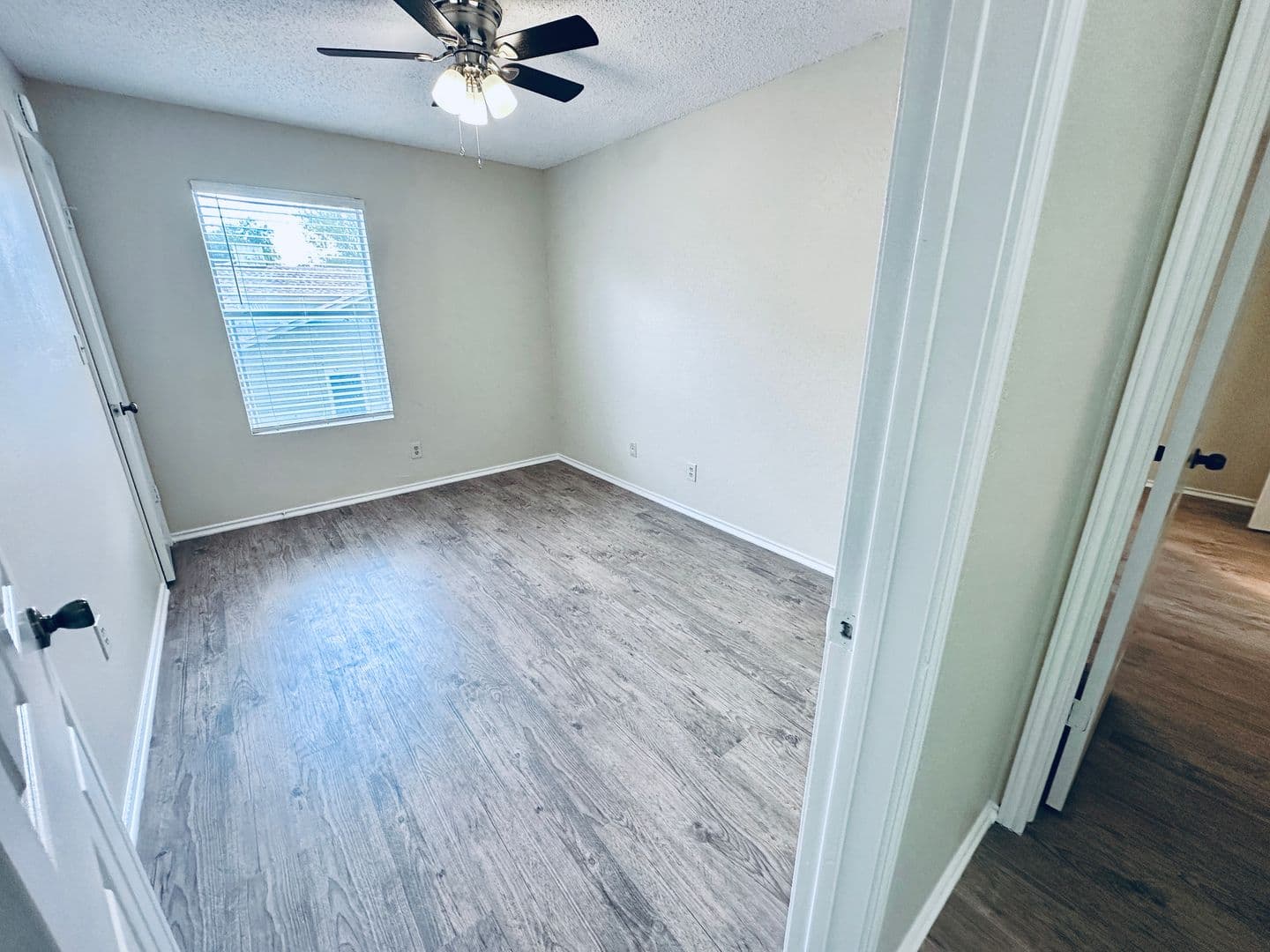 Austin Apartment: 379 Fantail Loop