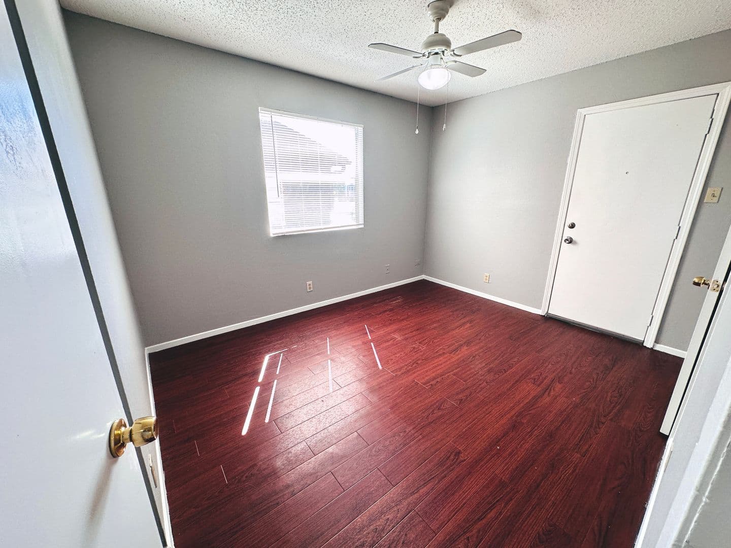 Austin Apartment: 9808 Roxanna Dr