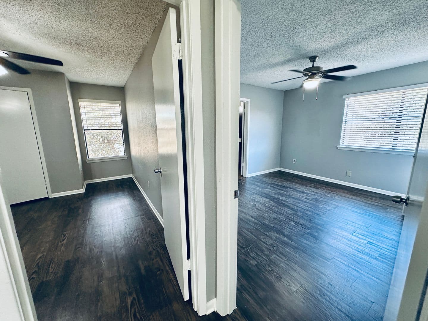 Austin Multiplex: 2612 Gwendolyn Ln