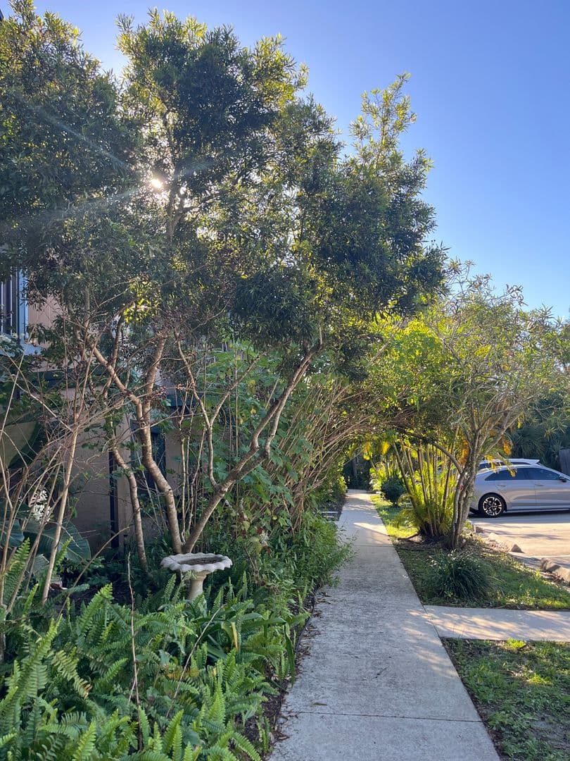 Palm Bay Apartment: 210 Thor Ave, SE