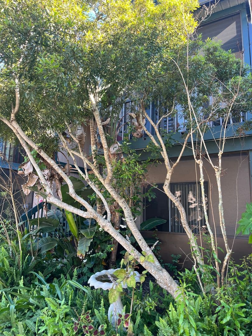 Palm Bay Apartment: 210 Thor Ave, SE