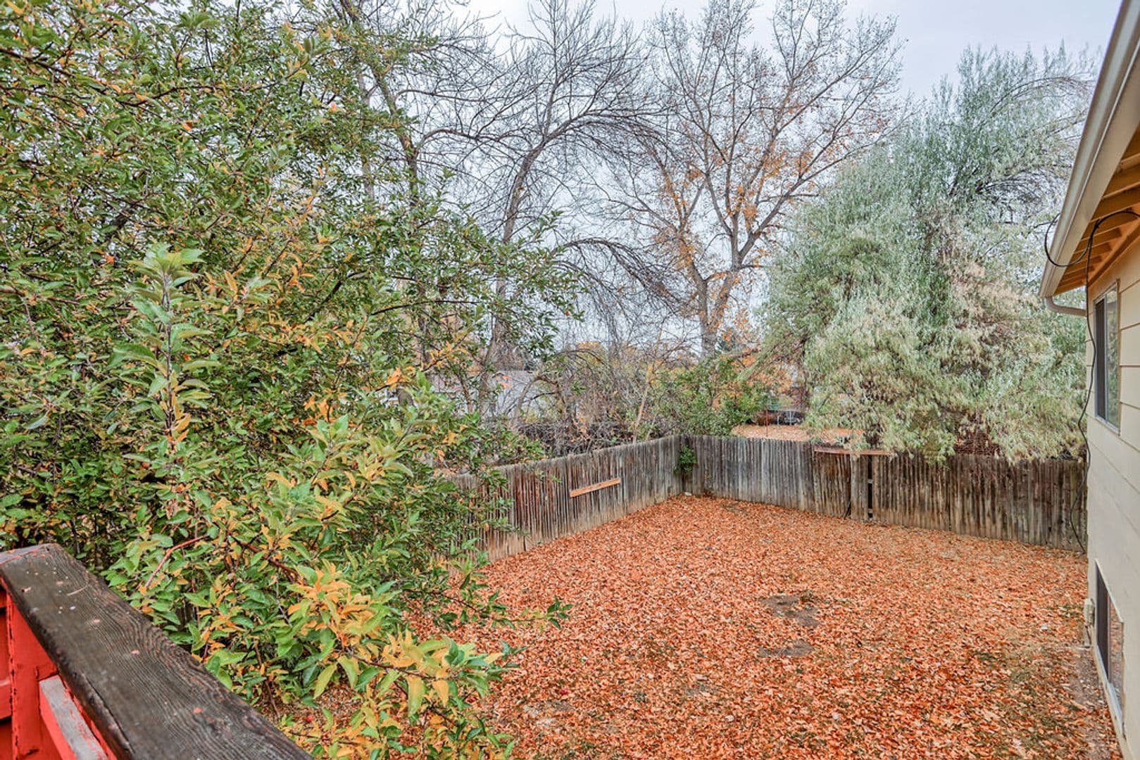 Fort Collins House: 836 Winchester Dr