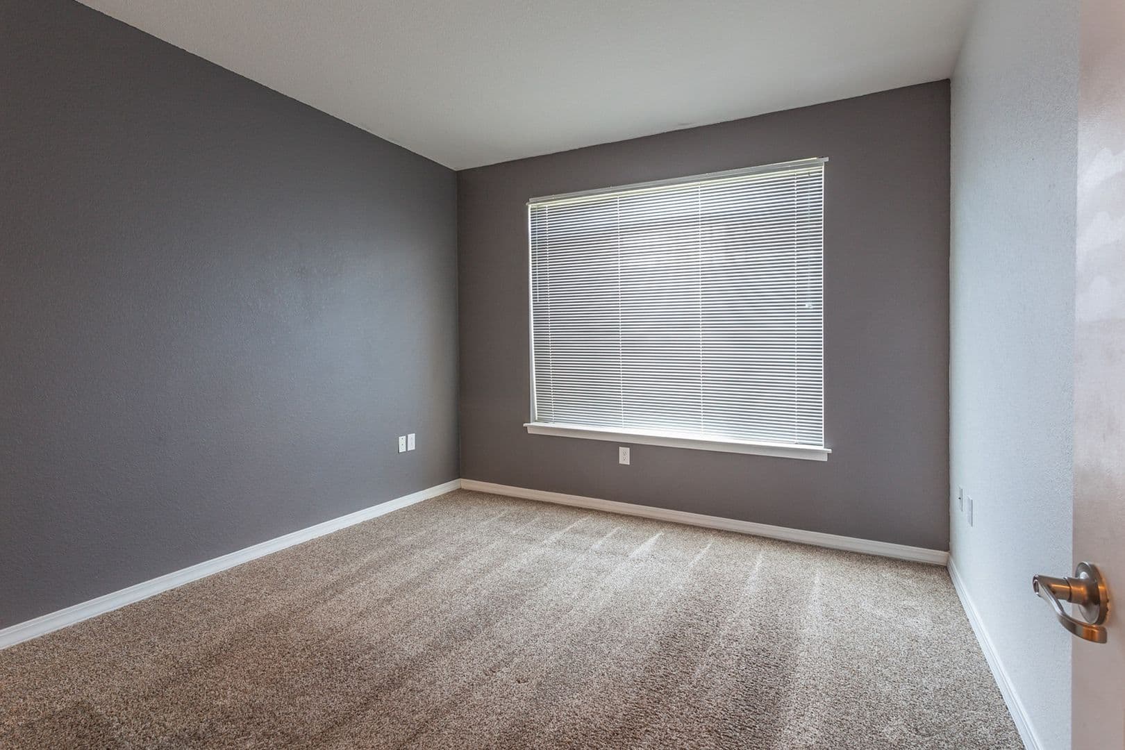 Fort Collins Apartment: 2133 Krisron Rd C106