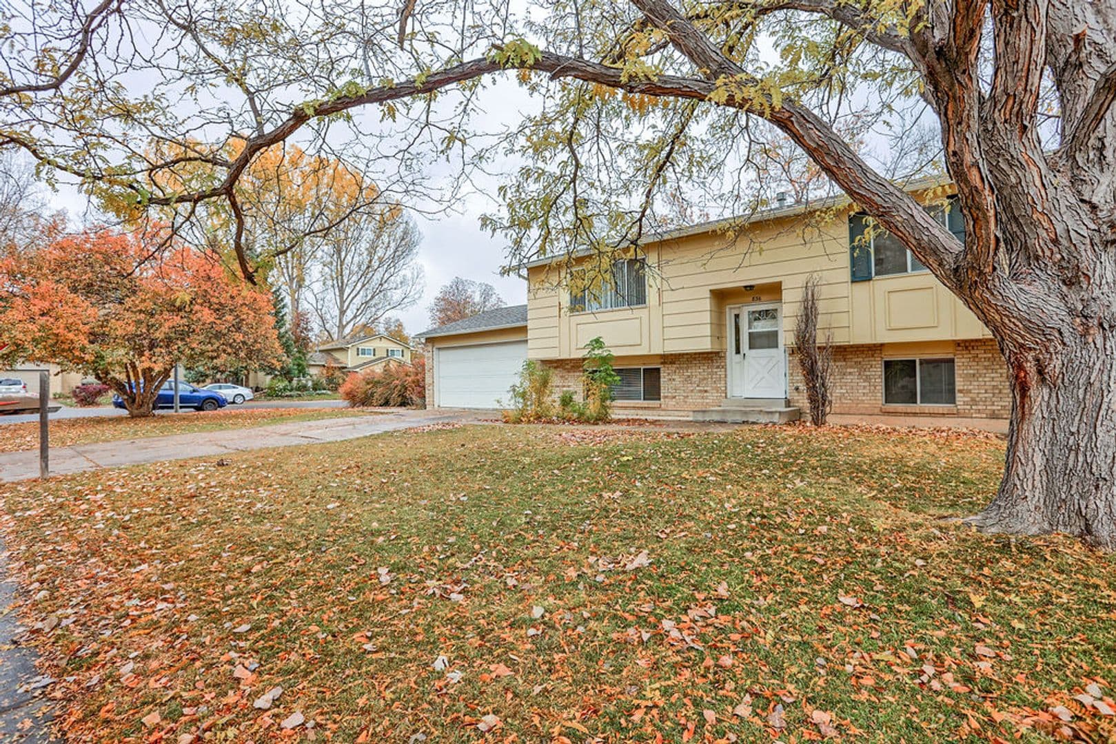 Fort Collins House: 836 Winchester Dr