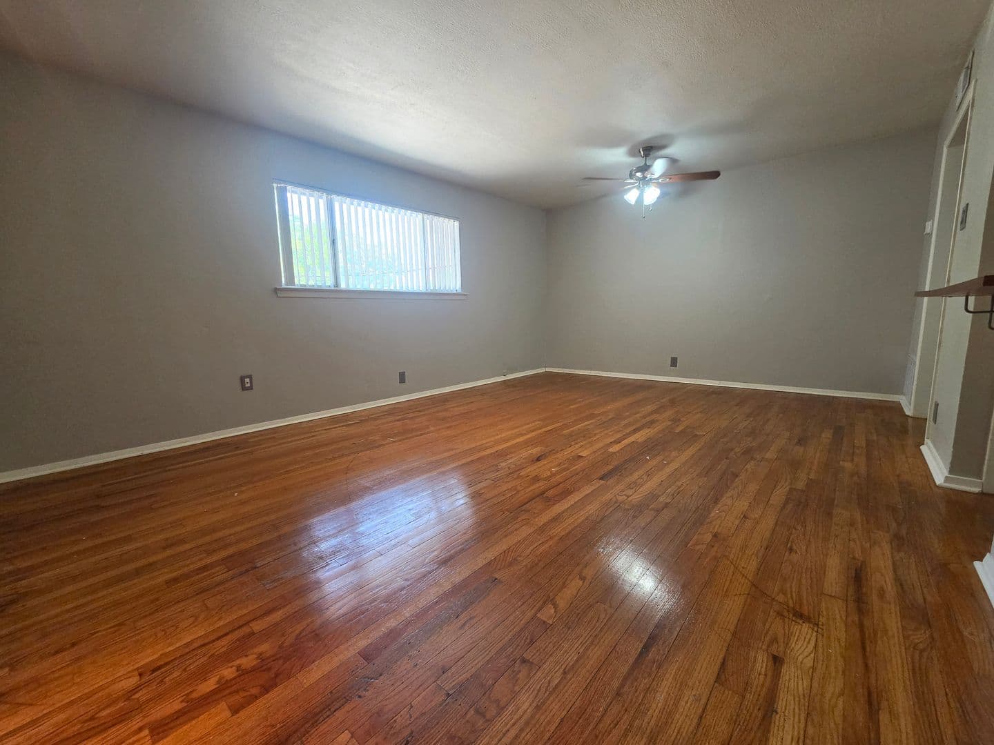 Denton Apartment: 804 N Locust St