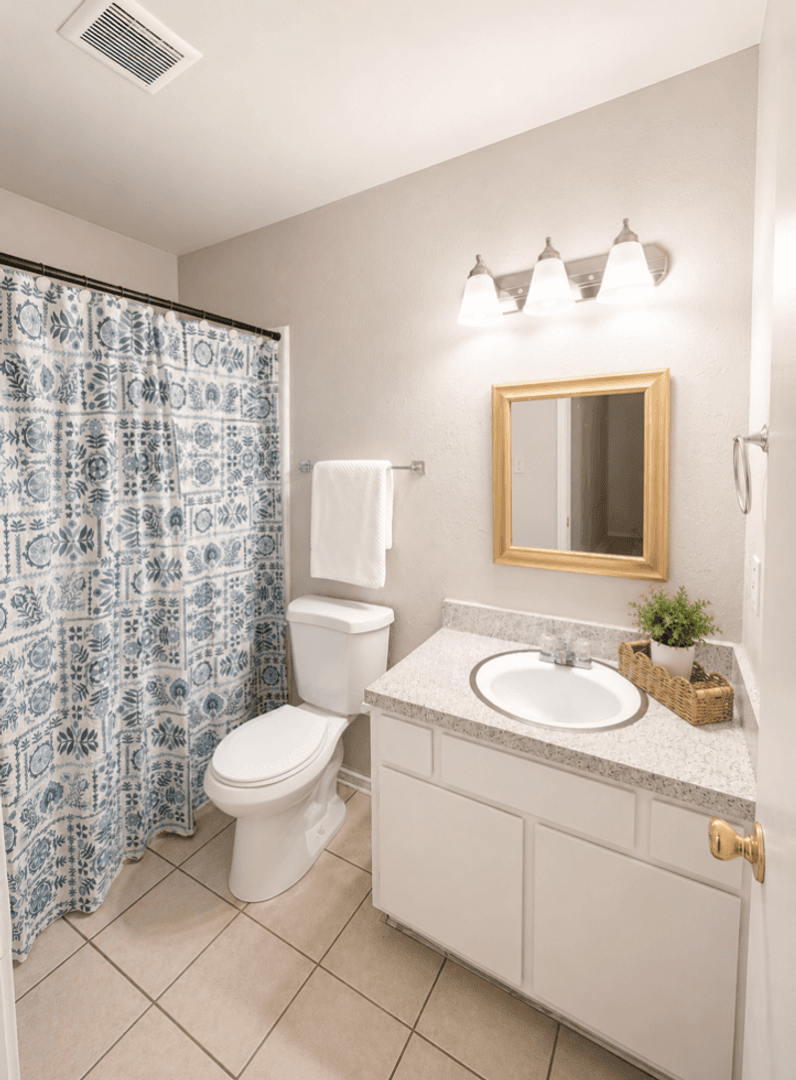 Denton Apartment: 2434 Louise Street