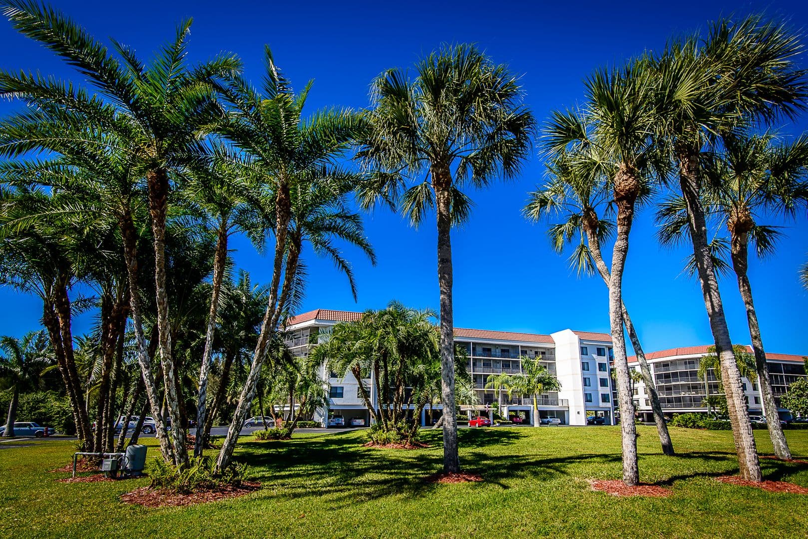 Punta Gorda Condo: 25188 Marion Ave #E104