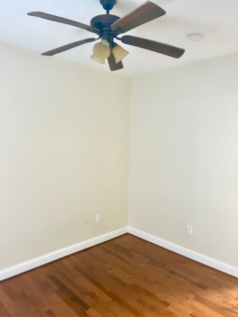 Baltimore Apartment: 841 & 847 Whitelock St