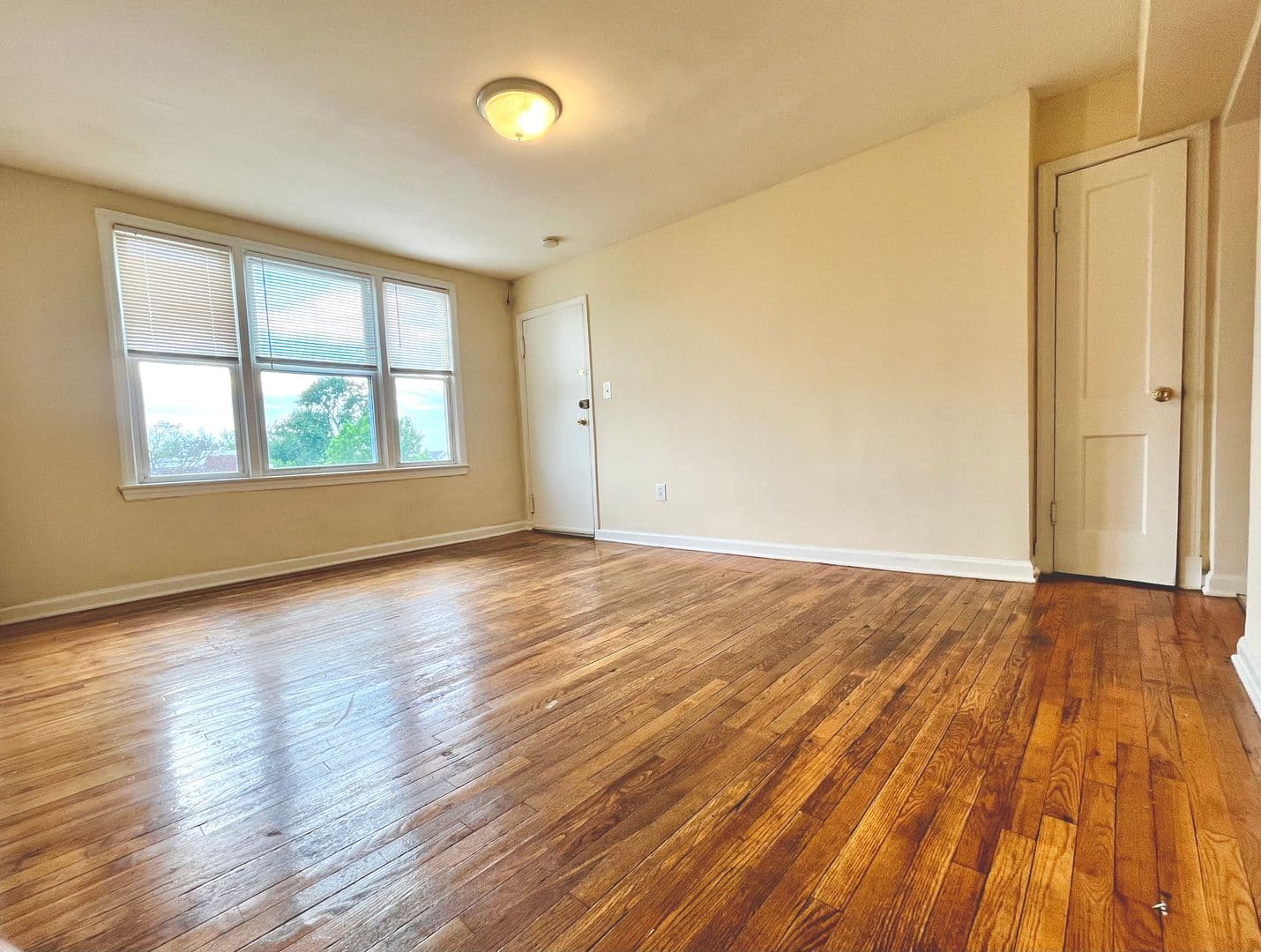 Washington Apartment: 1101 - 1113 19th St NE